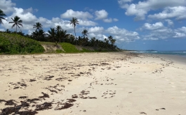 45, EN BAVARO